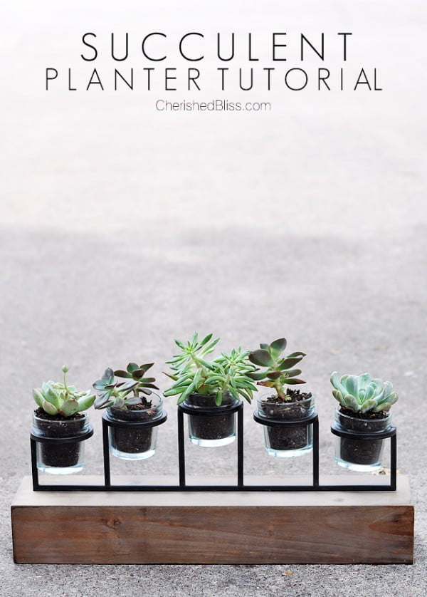 DIY Succulent Planter Tutorial