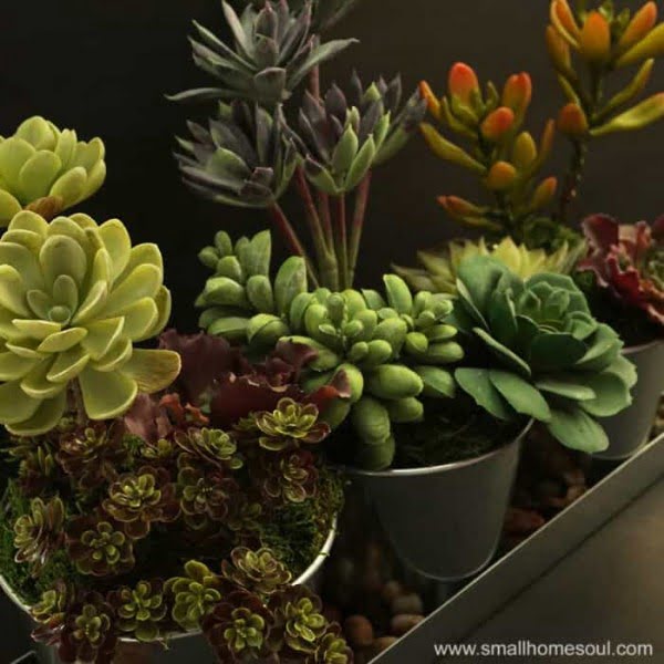 Faux Succulent Planter