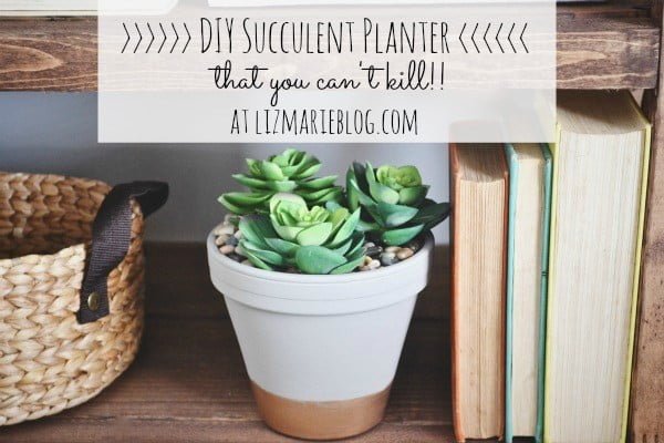 DIY Succulent Planter