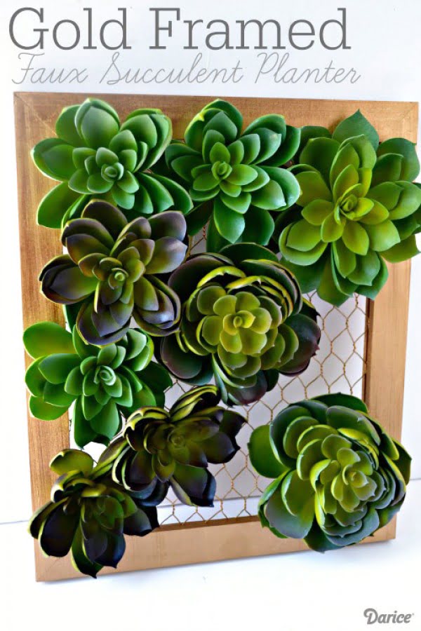 DIY Succulent Planter