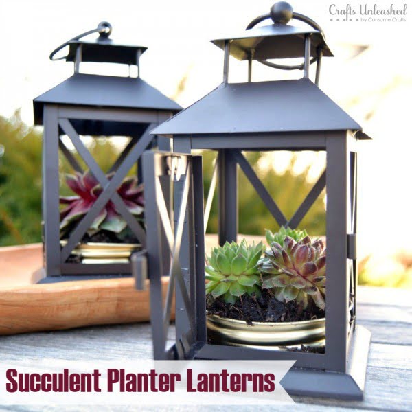 DIY Succulent Planter: Repurposed Lantern- Crafts Unleashed