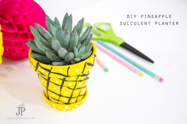 DIY Succulent Pineapple Planter