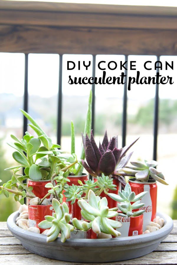 DIY Coke Can Succulent Planter