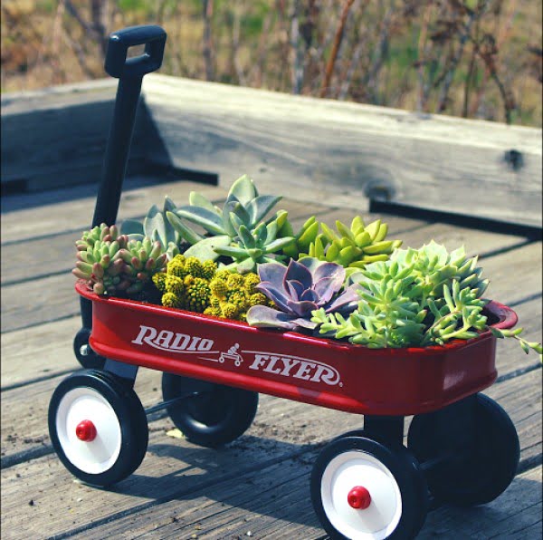 How To Make a Succulent Planter