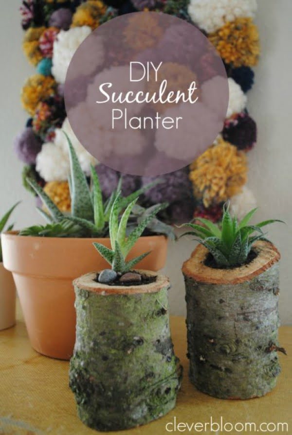 DIY Succulent Planter
