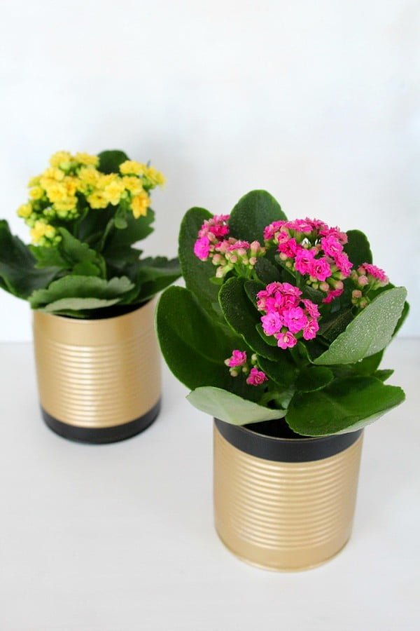 How to make tin can flower pots
