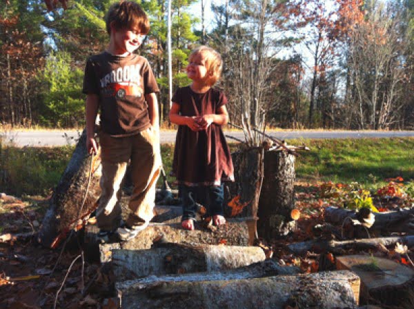 DIY: Building the perfect treehouse