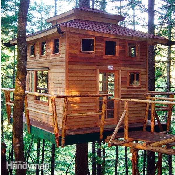 How to Build a Tree House    