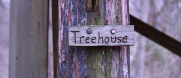 How to Build a Treehouse    