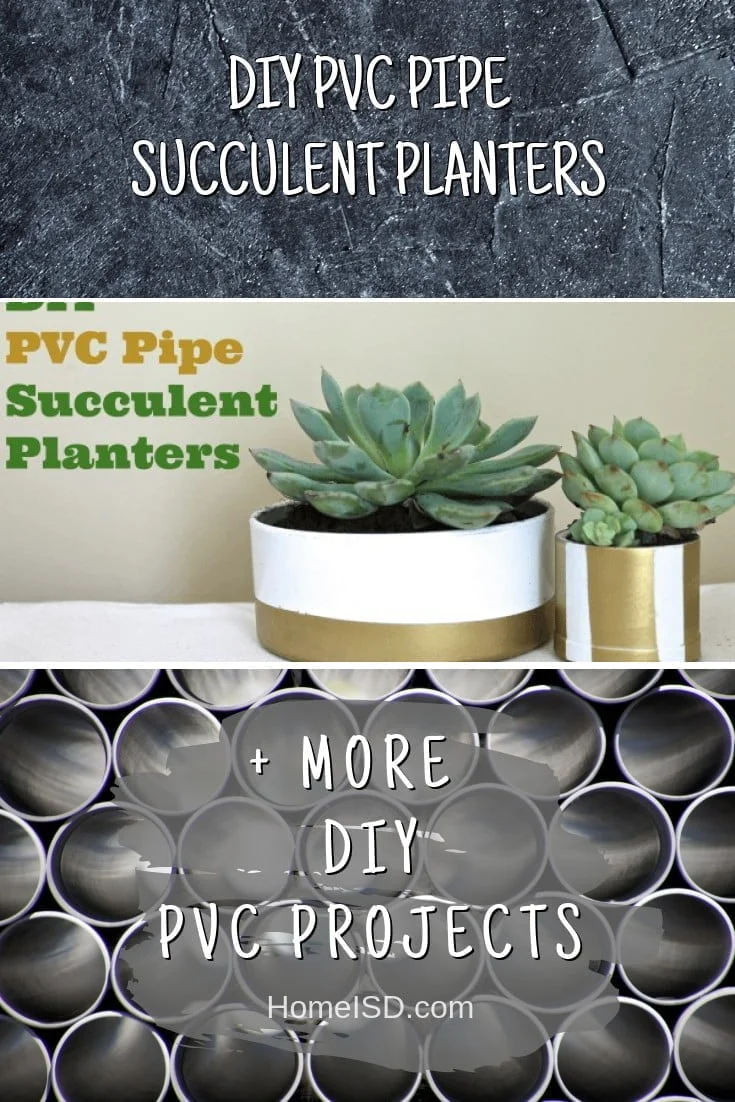 DIY PVC Pipe Succulent Planters    