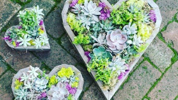 How To Make A DIY Succulent Heart Planter