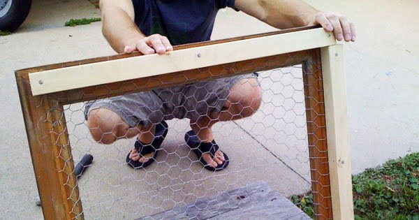 Man fills picture frame with chicken wire, creates stunning garden decor     