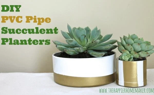 DIY PVC Pipe Succulent Planters  pipe  