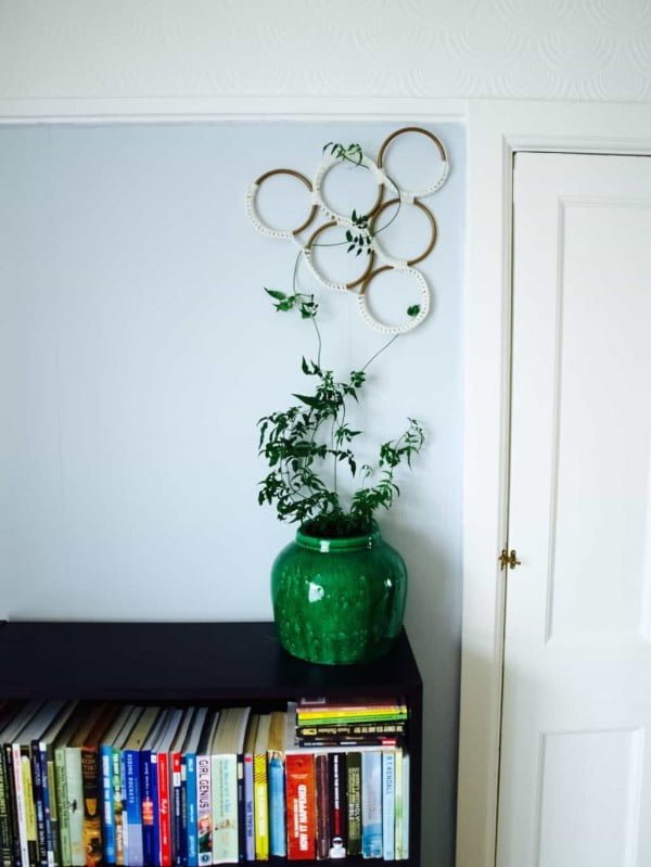 Growing jasmine indoors + macrame style trellis diy     