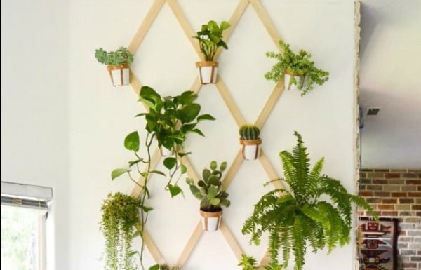 8 Easy DIY Indoor Trellis Ideas to Bring the Greenery Inside