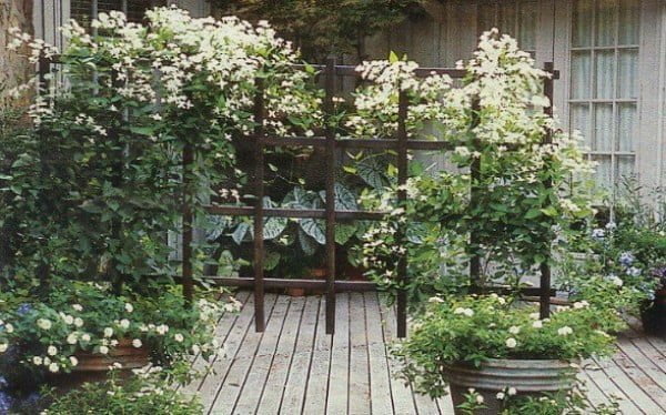 10 Easy DIY Trellis Screens to Create Privacy in Your Backyard