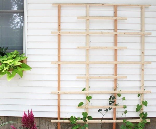 20 Easy DIY Trellis Projects to Really Prop Up Your Garden