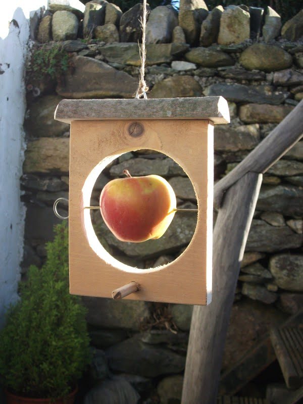 31 Easy & Creative DIY Bird Feeder Ideas to Lure Wildlife to Your Garden
