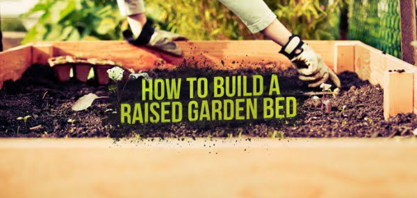Build a Raised Garden Bed to Simplify Your Gardening    