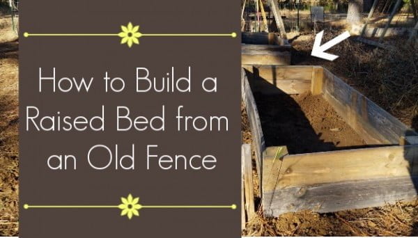 How to Build a Diy Raised Garden Bed from a Wood Fence    
