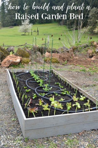 40 Easy DIY Raised Garden Beds Even Beginners Can Build