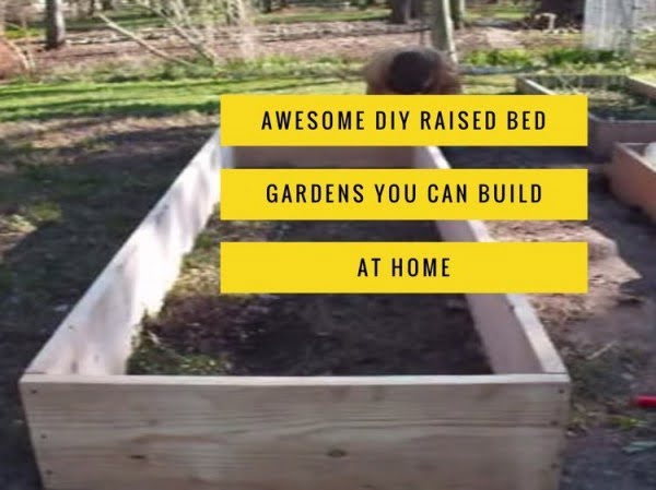 Best DIY Raised Bed Garden Plans    