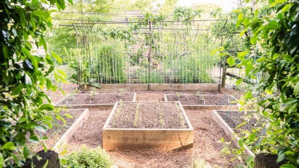 How To Build a Raised Garden Bed    