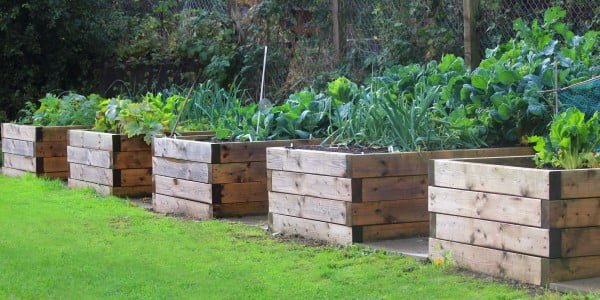 How to Build a Simple Raised Bed    