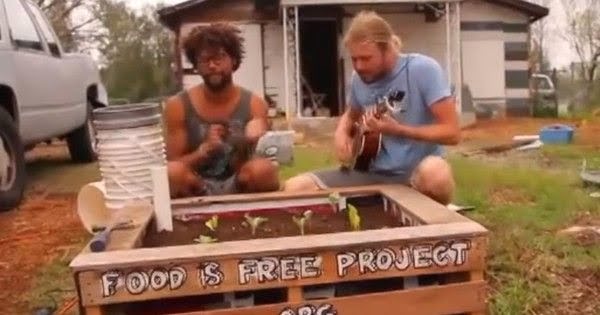 How to build a self-watering raised garden bed from scavenged materials