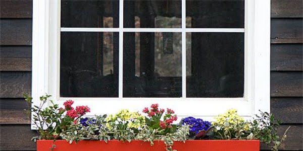 How to Build a Wooden Window Box for Flowers (With Plans!)    