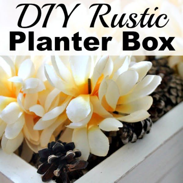 DIY Rustic Planter Box    