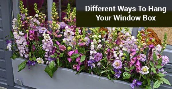 26 Crafty DIY Window Boxes to Increase Your Curb Appeal