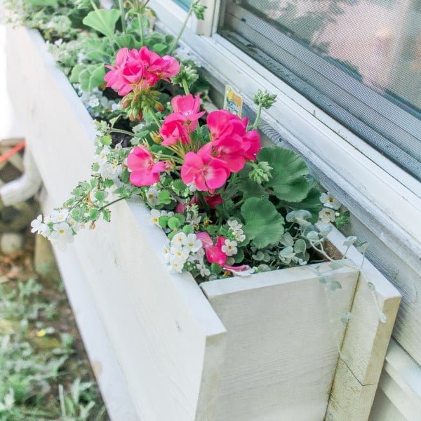 Easy Flower Window Box DIY    