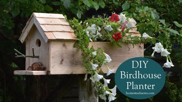 Birdhouse Planter: Easy DIY Planter Box    