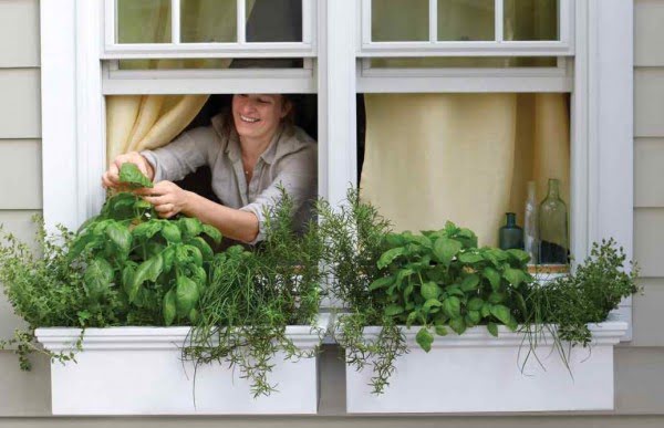 Summer Garden Project: DIY Edible Window Box Planter    