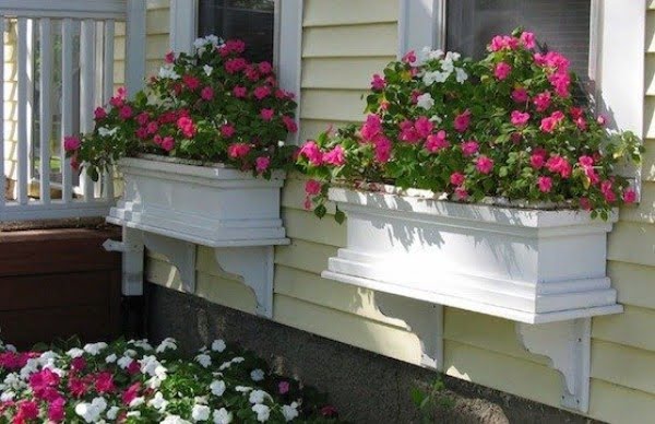 How to Build a Window Box    
