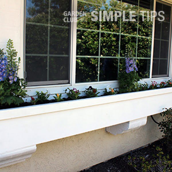 Dress Up Windows: DIY Window Box    