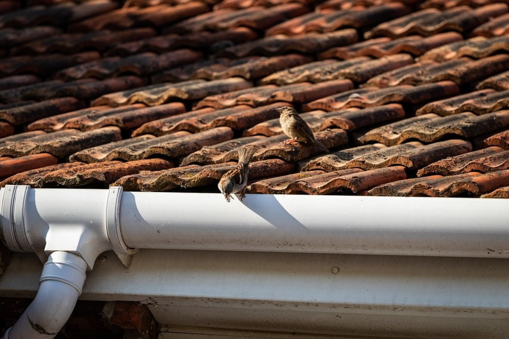 roof gutter