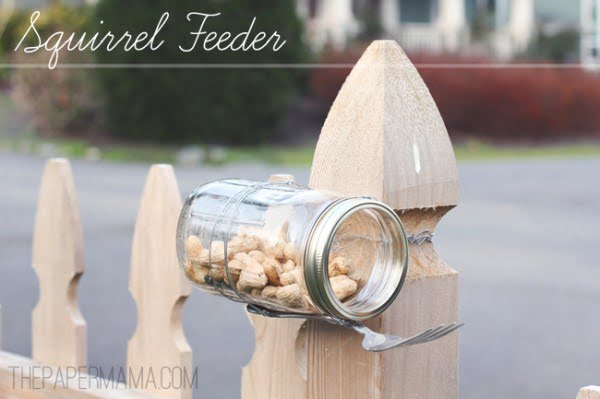 DIY Squirrel Feeder (Mason Jar)