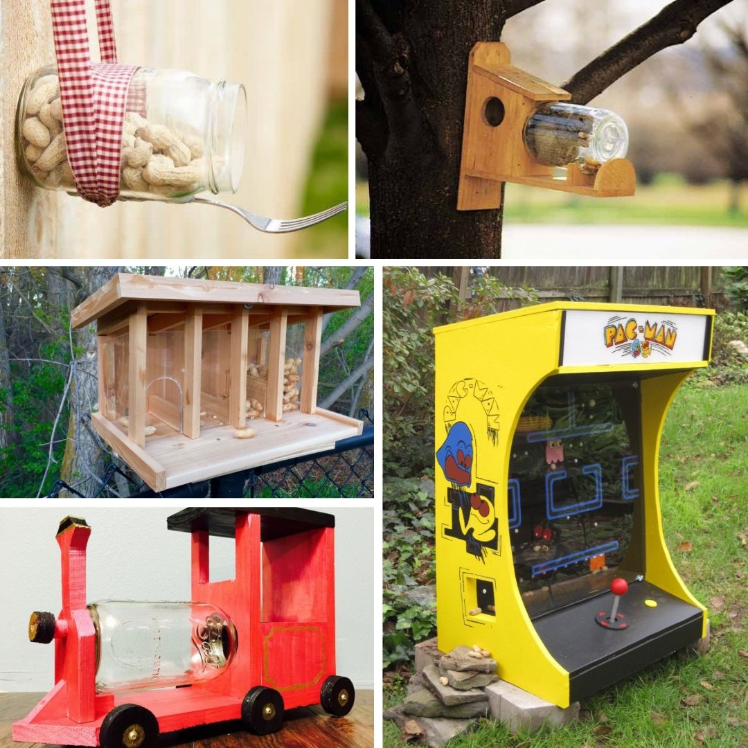 13 Simple DIY Squirrel Feeder Ideas You Will Enjoy Making