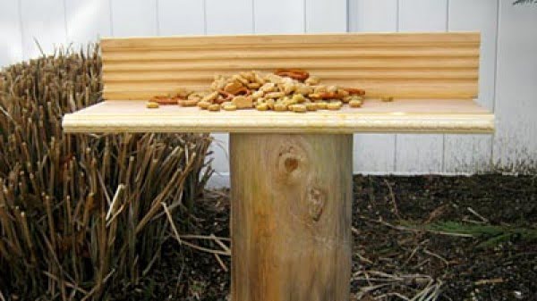 How to Make a Squirrel Feeder