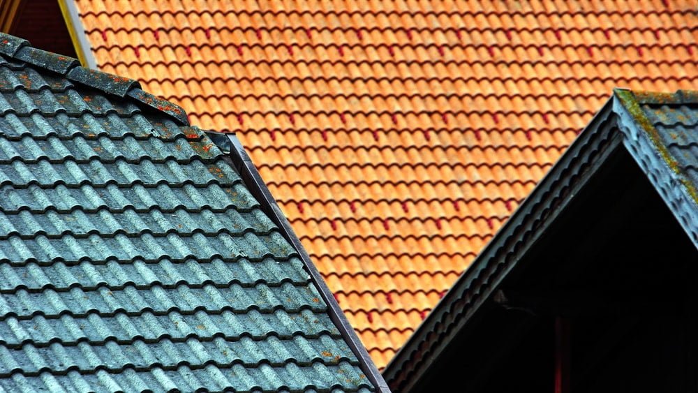 shingle color