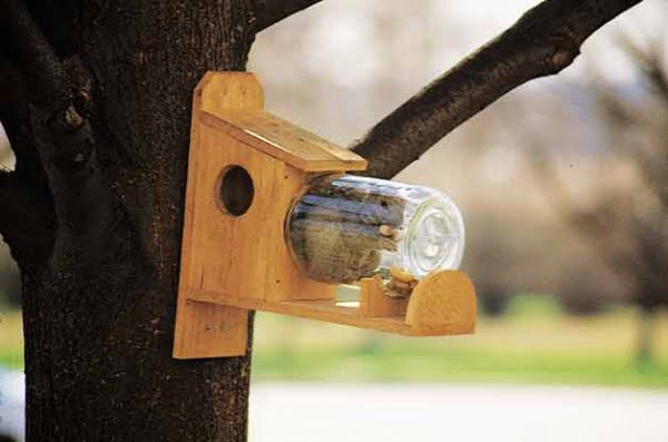 13 Simple DIY Squirrel Feeder Ideas You Will Enjoy Making