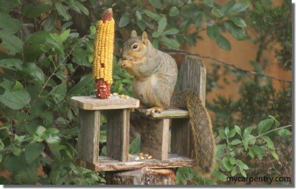 Squirrel Feeder Plans