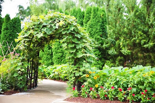 trellis welding project