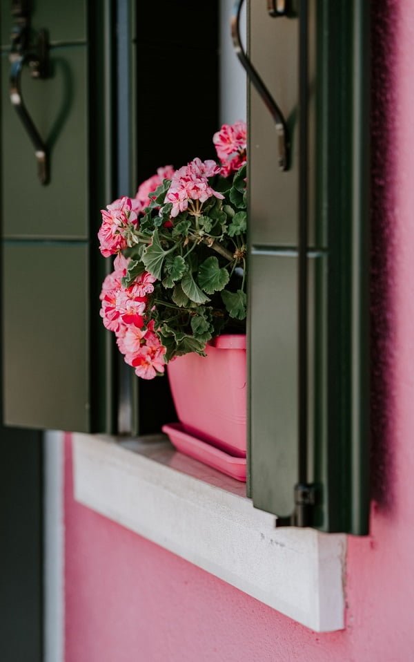 window flower box