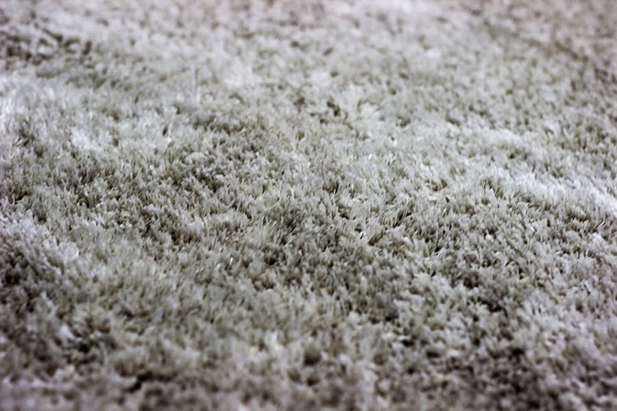 21 Types of Carpet That Actually Matter