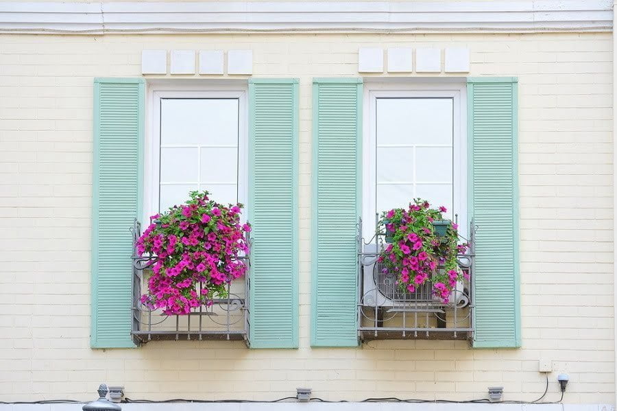 painted shutters