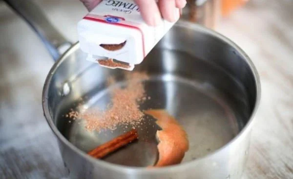 Cinnamon DIY Humidifier