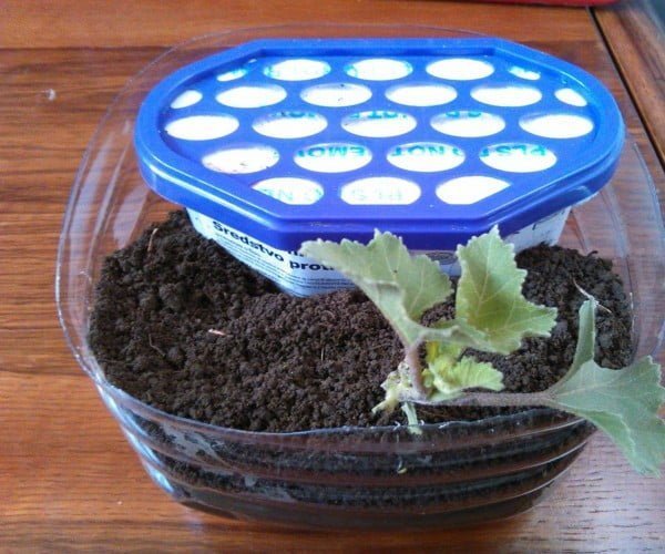 Dehumidifier Based Self Watering Pot